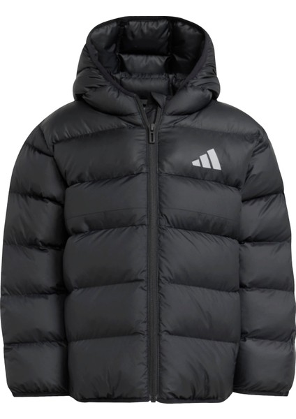 Adidas Sportswear JM8864 Synthetic Down Jacket Kids modelleri