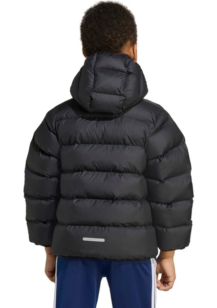 Adidas Sportswear JM8864 Synthetic Down Jacket Kids fırsatları