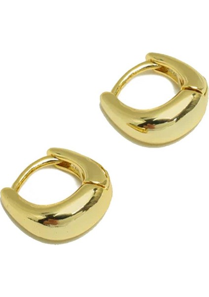18K Altın Kaplama Mini Dolgun Halka Küpe modelleri