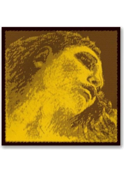 Pirastro Evah Pirazzi G-Gold Medium Set Keman Teli 415021