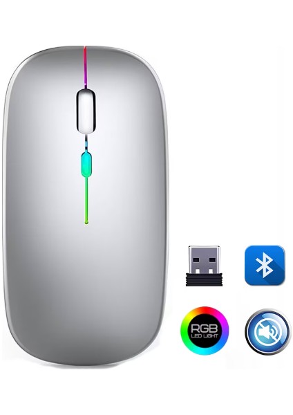 ZR215 CBA100 Rgb Gümüş Şarjlı Mouse