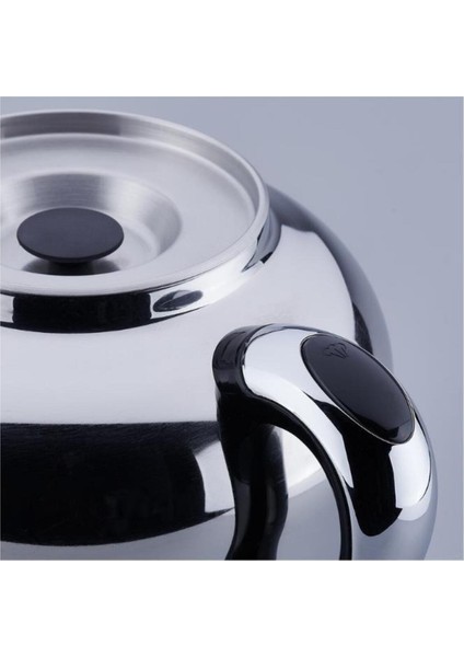 Inox Krom Semaver, Renkli, Dayanıklı ve Şık Tasarım, A842 modelleri