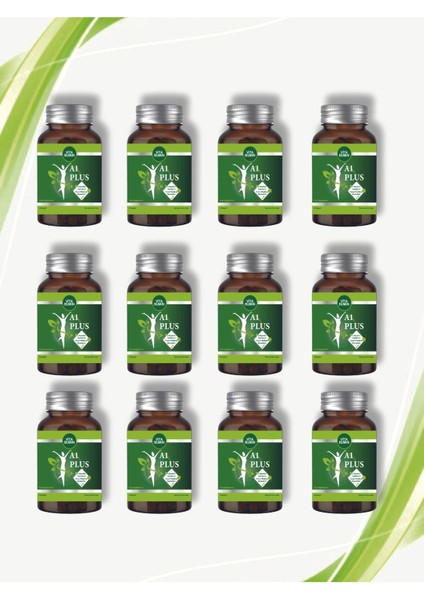 A1 Plus L-Carnitine Lepidium - Bitkisel 30 Kapsül 12 Adet fiyatları