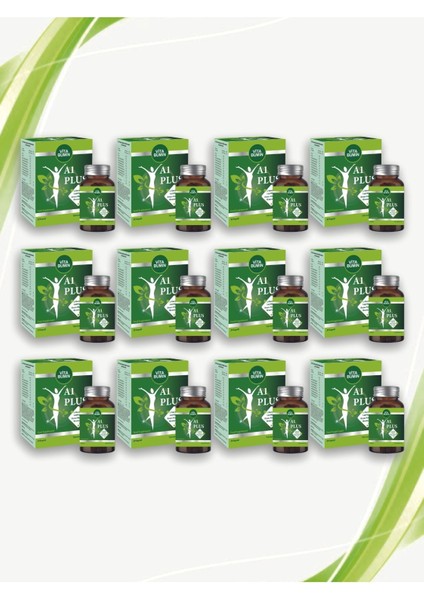 A1 Plus L-Carnitine Lepidium - Bitkisel 30 Kapsül 12 Adet fırsatları