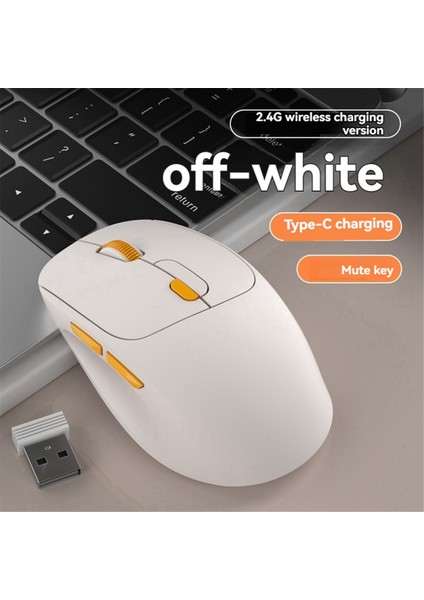 Macbook, Mac Pro ve Lenovo Dizüstü Bilgisayarlar Için 2.4g Kablosuz Altı Düğmeli Tip-C Şarjlı Ergonomik Tasarım Kablosuz Fare (Yurt Dışından) fırsatları