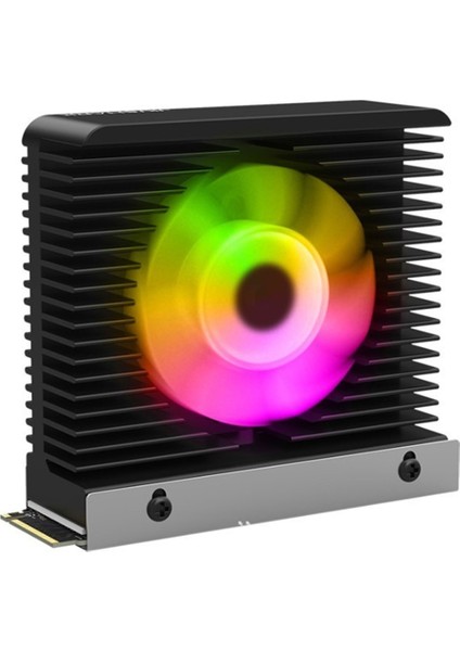 Argb M.2 2280 SSD Soğutucu M.2 SSD Soğutucu 4pın Pwm Fanlı Termal Pedli Radyatörlü Soğutucu Siyah (Yurt Dışından)