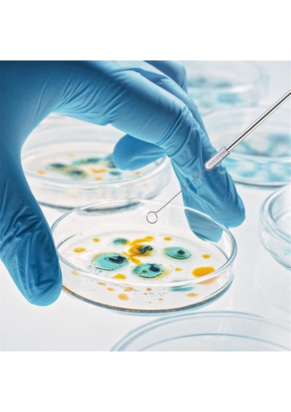 Metal Aşılama Döngüsü, 2 Adet Saplı Mikoloji Örnekleme Çubuğu ve 90 Adet Nikel Yeniden Kullanılabilir Aşılama Halkası (Yurt Dışından) indirimleri