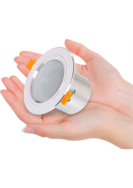 Mini Tavan Hoparlörü 12W Hifi Stereo Hoparlör Ev Sinema Ses Sistemi Anons Arka Plan Ses Sistemi Banyo (Yurt Dışından) fiyatları