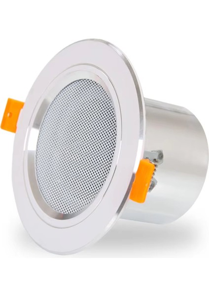 Mini Tavan Hoparlörü 12W Hifi Stereo Hoparlör Ev Sinema Ses Sistemi Anons Arka Plan Ses Sistemi Banyo (Yurt Dışından) indirimleri