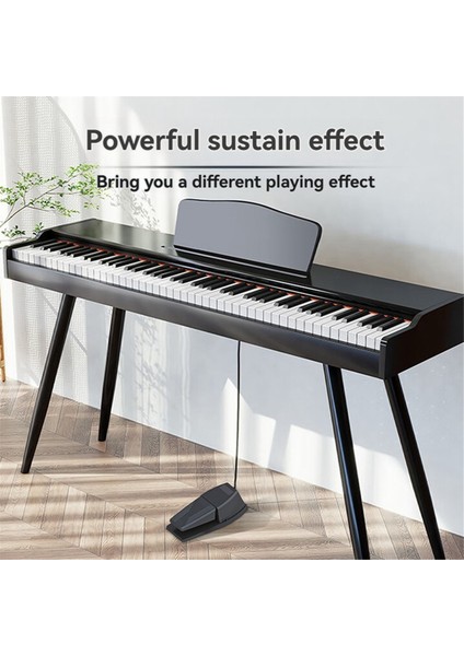 Synthesizer Piyanolar ve Klavyeler Için Evrensel Kaymaz Ayak Pedalı Sürdürme Pedalı (Yurt Dışından) fiyatları