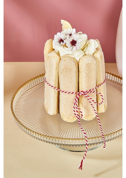 Beyaz 21 cm Pasta ve Tatlı Sunum Standı, Şık ve Kullanışlı Tasarım fiyatları