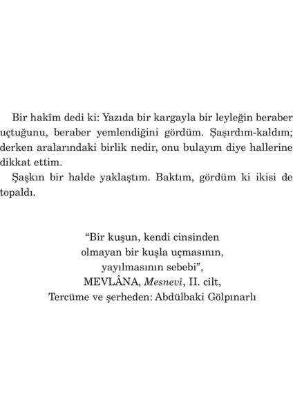 Araf - Elif Şafak fırsatları