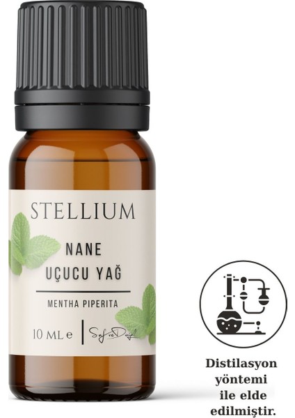 Nane Uçucu Yağı 10 ml (%100 Doğal)- Peppermint Essantial Oil fiyatları
