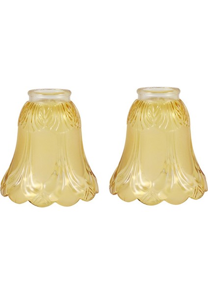 2 Adet Tavan Vantilatörü Avize Buzlu ve Şeffaf Cam Işık Abajur Değiştirme (Yurt Dışından)