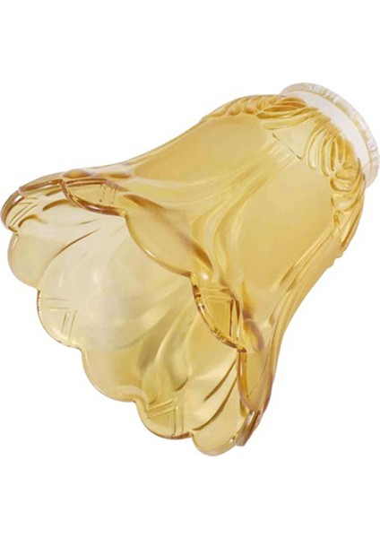 2 Adet Tavan Vantilatörü Avize Buzlu ve Şeffaf Cam Işık Abajur Değiştirme (Yurt Dışından) fırsatları