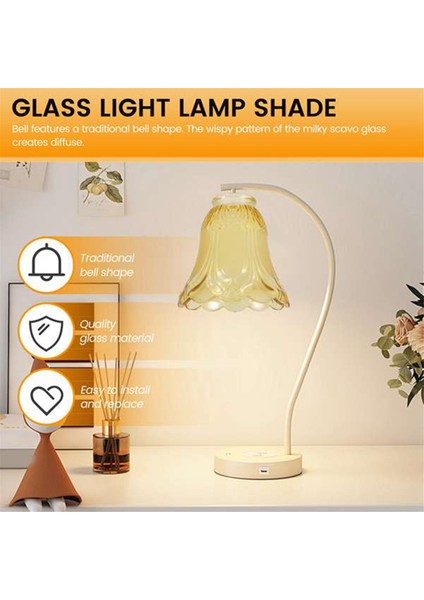 2 Adet Tavan Vantilatörü Avize Buzlu ve Şeffaf Cam Işık Abajur Değiştirme (Yurt Dışından) indirimleri