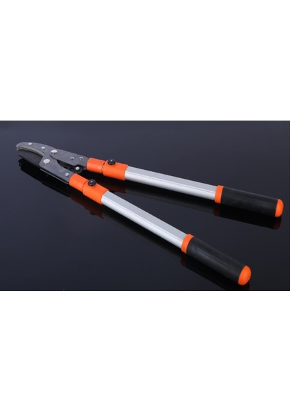 Uzatmalı Teleskopik Dal Budama Makası, Ağaç ve Bahçe Bakımı Için, Orta Boy
