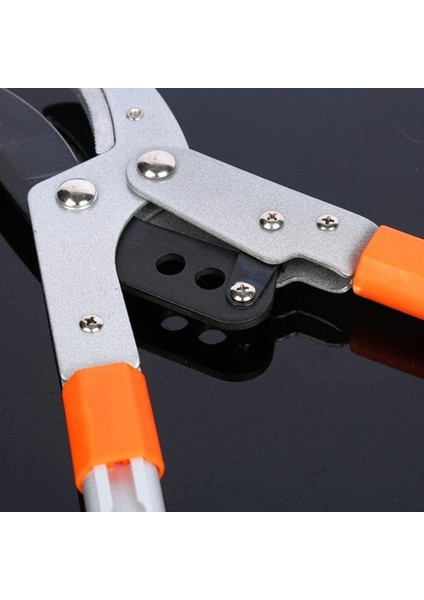 Uzatmalı Teleskopik Dal Budama Makası, Ağaç ve Bahçe Bakımı Için, Orta Boy modelleri