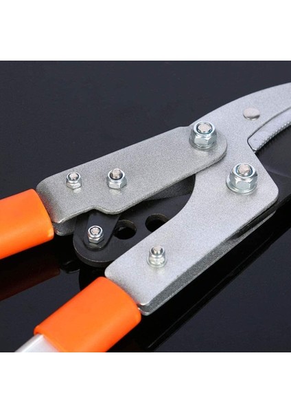 Uzatmalı Teleskopik Dal Budama Makası, Ağaç ve Bahçe Bakımı Için, Orta Boy fırsatları