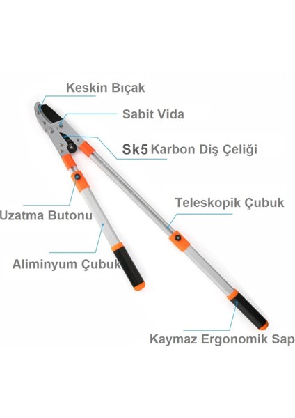Uzatmalı Teleskopik Dal Budama Makası, Ağaç ve Bahçe Bakımı Için, Orta Boy indirimleri