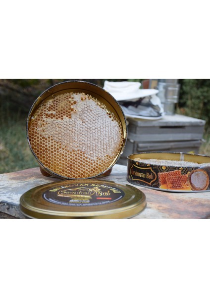 Şehr-I Şemdinli Doğal Karakovan Balı 1300GR modelleri