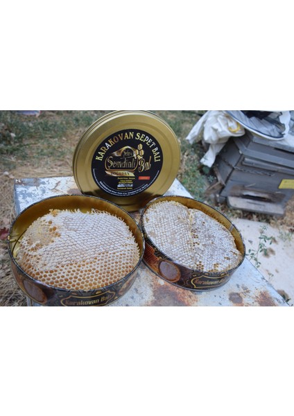 Şehr-I Şemdinli Doğal Karakovan Balı 1300GR fırsatları