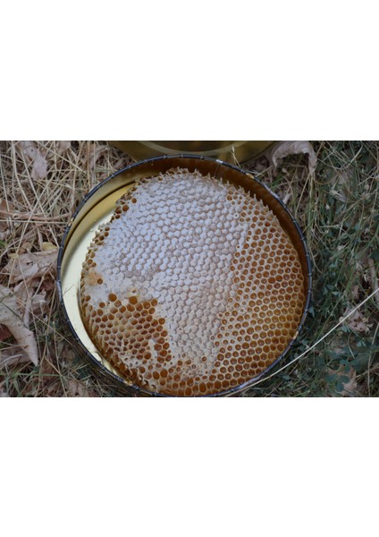 Şehr-I Şemdinli Doğal Karakovan Balı 1300GR