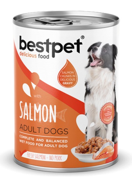 Wizard Bestpet 400 gr x 12 Adet Yetişkin Köpekler Için, Taze Somon Parça Etli ve Soslu Yaş Mama