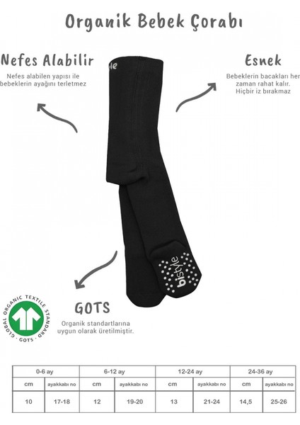 Bistyle Kaymaz Basic Külotlu Çorap 50501 Siyah fiyatları