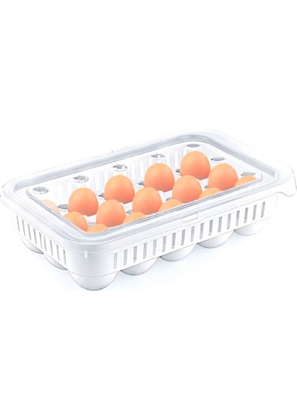 15&apos;li yumurta Saklama Kabı (5313)