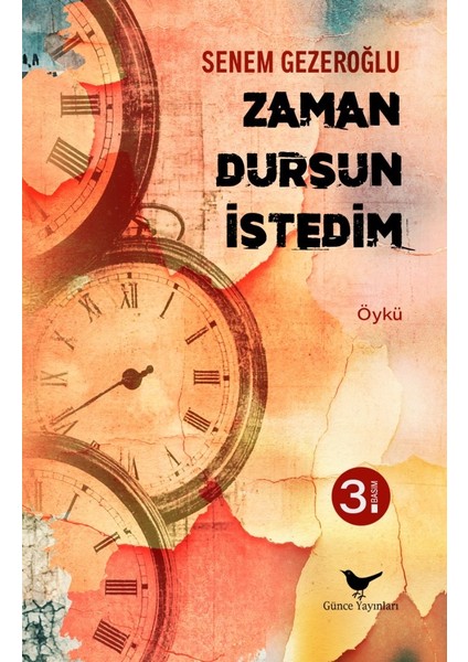 Zaman Dursun Istedim - Senem Gezeroğlu - Günce Yayınları