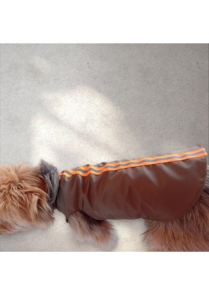 Köpek Yağmurluğu