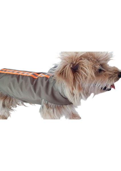 Köpek Yağmurluğu modelleri