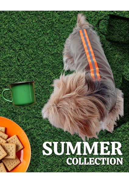 Köpek Yağmurluğu fırsatları