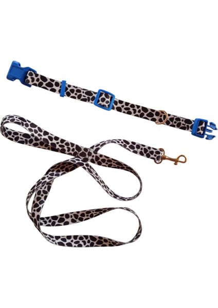 Köpek Tasması ve Gezdirme Kayışı 150 cm modelleri