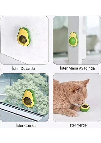Slipt Doğal Catnipli Yenilebilir Kedi Nanesi Otu Oyun Topu Oyuncağı Top Oyuncak Kedi Yalama Topu Avokado Şeffaf fırsatları