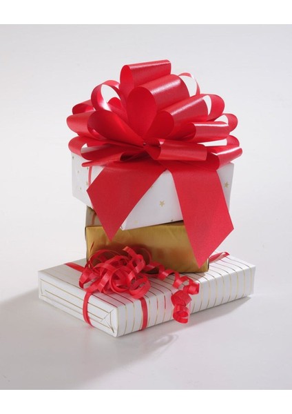 Siyah HR1393/90 Doğrayıcı Rondo, Yüksek Performanslı Mutfak Cihazı