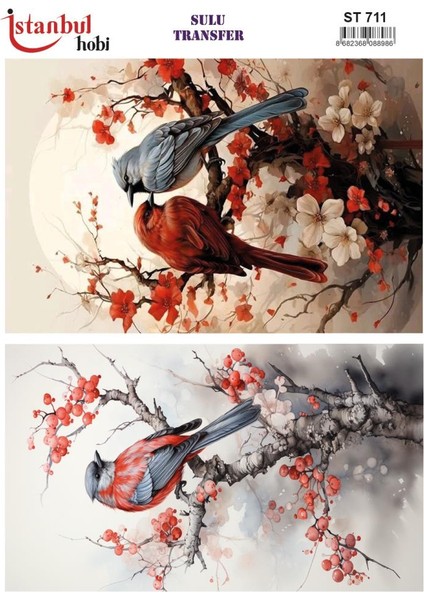 Sulu Transfer Kağıdı 25X35CM ST-711