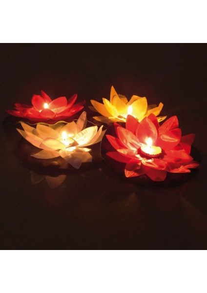 Su Feneri fiyatları