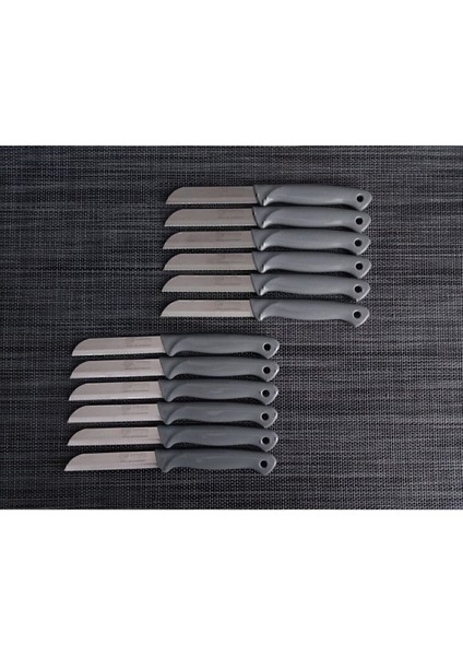 Parlak Gri Meyve Bıçak Seti 12'li, Şık ve Kullanışlı Mutfak Gereci