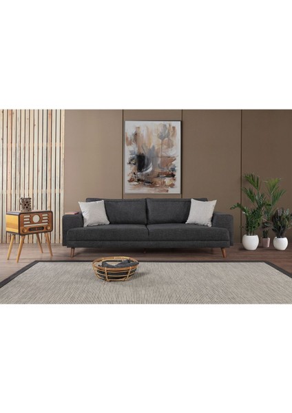 Bisno Yataklı Kanepe Keten Antrasit