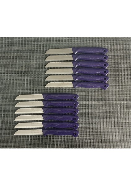 Parlak Mor Meyve Bıçakları 12'li, Şık ve Kullanışlı Set
