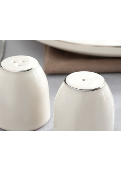 Şık 5,5x5 cm Porselen Tuzluk-Biberlik Takımı, Parlak Gümüş Renkli Set modelleri