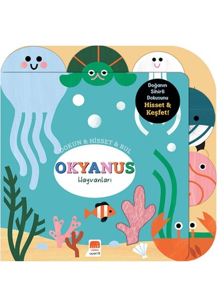 Dokun & Hisset & Bul Okyanus Hayvanları