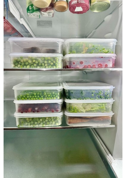 10 Adet 2,5 Lt Sızdırmaz Vakumlu Büyük Dikdörtgen Saklama Kabı Seti fiyatları