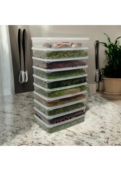 10'lu Büyük Boy Dikdörtgen Vakumlu Saklama Kabı Seti, 2,5 Lt, Sızdırmaz, Beyaz fırsatları