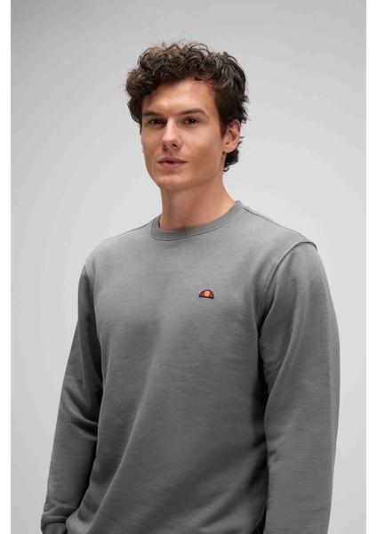 Pamuklu Regular Fit Bisiklet Yaka Logolu Sweat Erkek Sweat EM579 fiyatları