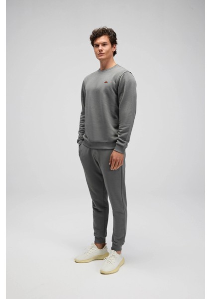 Pamuklu Regular Fit Bisiklet Yaka Logolu Sweat Erkek Sweat EM579 modelleri