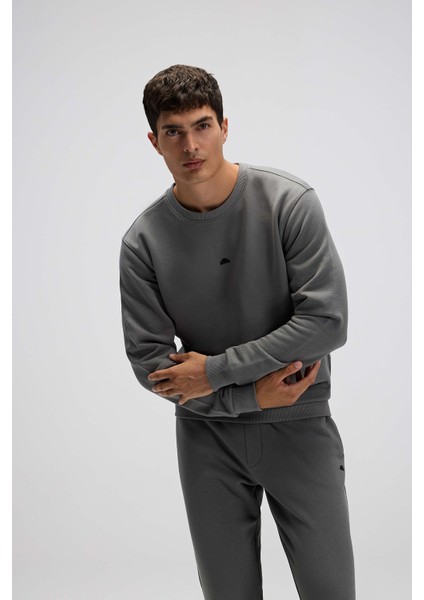 Pamuklu Regular Fit Bisiklet Yaka Logolu Sweat Erkek Sweat EM556 fiyatları