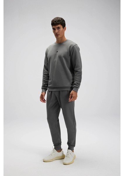 Pamuklu Regular Fit Bisiklet Yaka Logolu Sweat Erkek Sweat EM556 modelleri